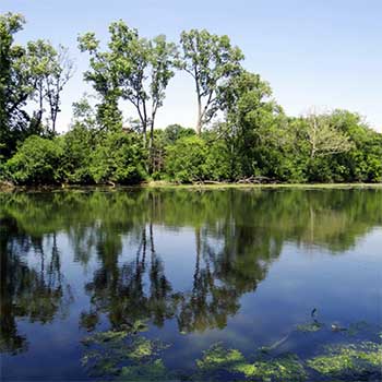 Lake view, Branden Waters